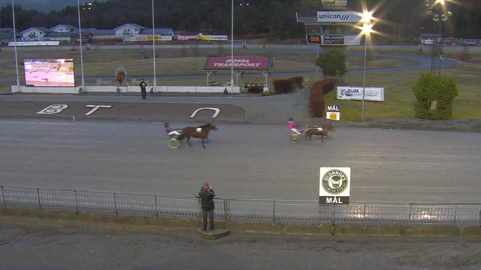 Bergen Travpark 26. mars 2026