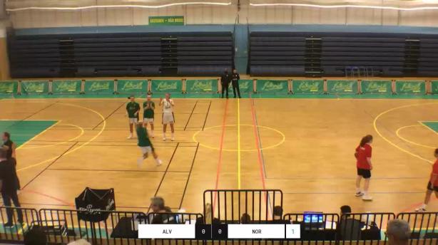 Alvik Basket - Norrort