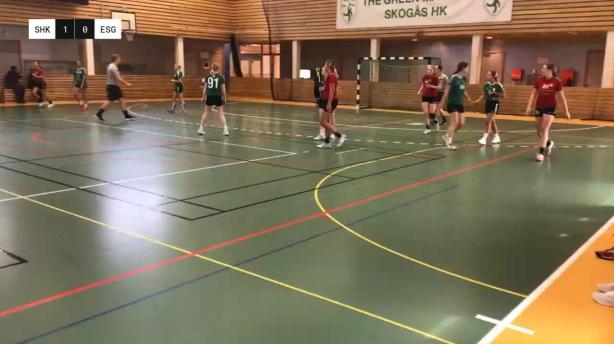 Skogås HK - Eskilstuna Guif