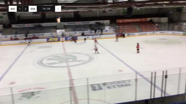 Svealand HC Vit - Sokol Kiev