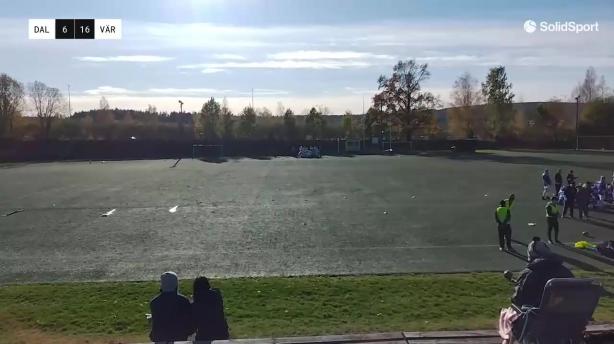 Dalecarlia Rebels - Västerås Roedeers