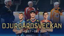 Djurgårdsveckan - Hovet | del 3