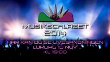 MUSIKSCHLAGET 2014