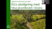 EU:s utvidgning med fokus på jordbruket i Ukraina 4 juni 2024